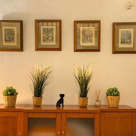 Apartamento Siglo De Oro Sevilla Dış mekan fotoğraf